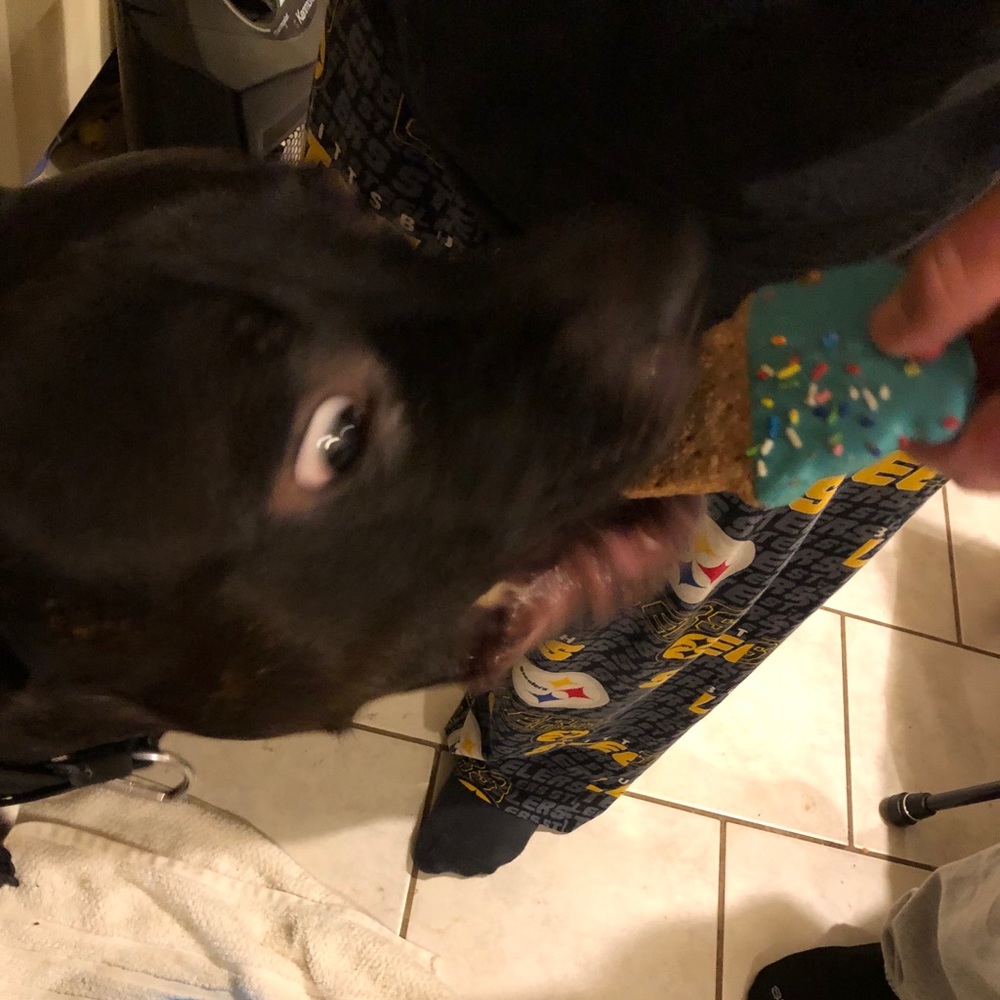 Sage’s 5th Birthday 🎂 🎉 🥳